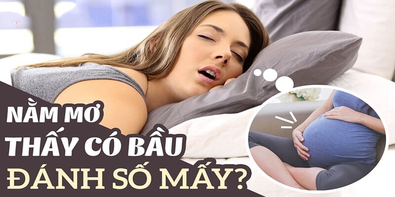 Bạn hãy thử cược các số này khi nằm mơ thấy có bầu để kiểm chứng